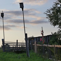 Мальва отцветает.