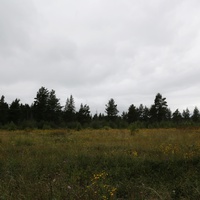 На Маленькой дорожке.