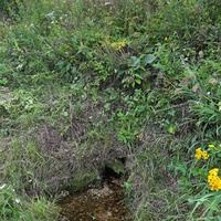 Верхний родничек.