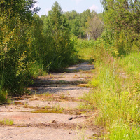 Пирочи в/ч 98930