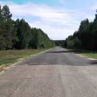 Дорога из посёлка в райцентр - г. Ветлугу