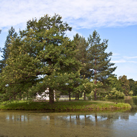 Екатерининский парк