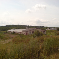 Фермы в Лазарево