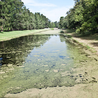Виттоловский канал