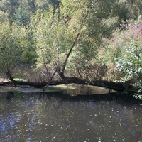 река суходревка на территории санатория
