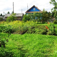 Сад-огород