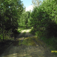 дорога к озеру между Люшково и Узким