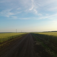Дорога в Редькино