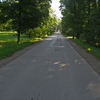 Екатерининский парк. Подкапризовая дорога.