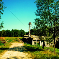При въезде в село со стороны Трубчевска, справа у дома гнездо аистов.