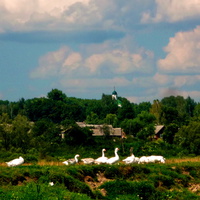 Вид на село с берега реки.