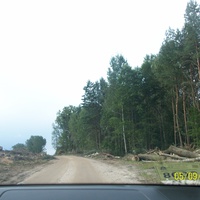 Строительство дороги возле Мыльниск
