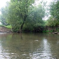 Річка Вівнянка
