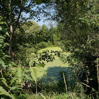 Отстойники у Оки