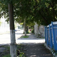 Улица Савельича