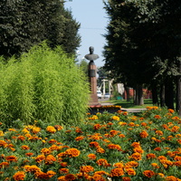 Цветочная клумба