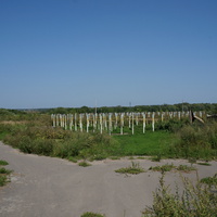 Полоса препятствий бывшего артучилища