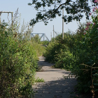 Долина реки Москва