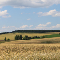 Алтаевские поля