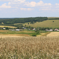 Алтаево. Вид на северную часть деревни.
