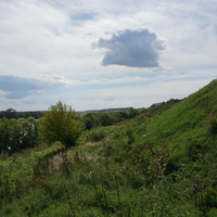 Берег реки Ока