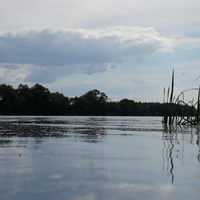 Водная гладь Оки