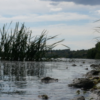 Водная гладь Оки