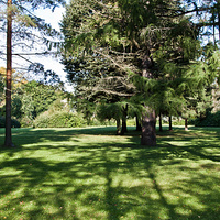 Сквер возле Фёдоровского городка