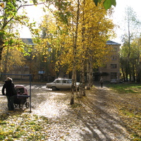Сыктывкар дворик по ул. Чернова