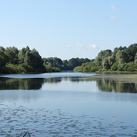 Река Сож вблизи Новой Гуты.