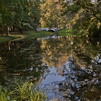 "Детский пруд" в Александровском парке