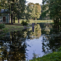 Александровский парк. Детский пруд.