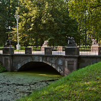 Драконов мост в Александровском парке