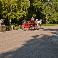 В Александровском парке