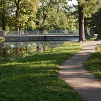 Мост в Александровском парке