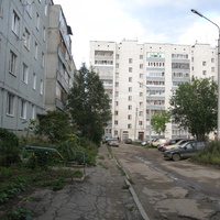 Сыктывкар подсолнухи