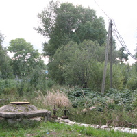 Сыктывкар дворовая чаща