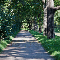 Дорожка в парке