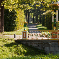 В Александровском парке