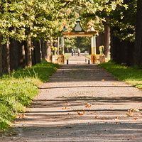 Аллея в парке