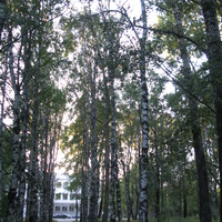 Сыктывкар больничный городок