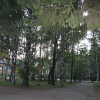 Сыктывкар зеленая зона по ул.  Пушкина