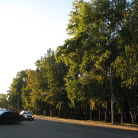 Сыктывкар Октябрьский проспект возле школы 35