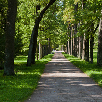 Александровский парк