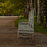 Аллея в Александровском парке