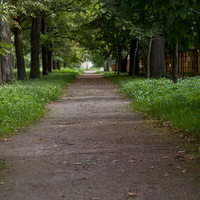 Александровский парк