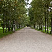 Александровский парк