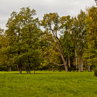 Александровский парк