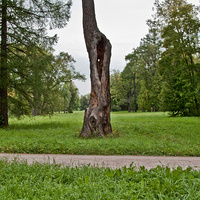 Александровский парк