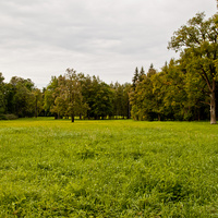 Александровский парк